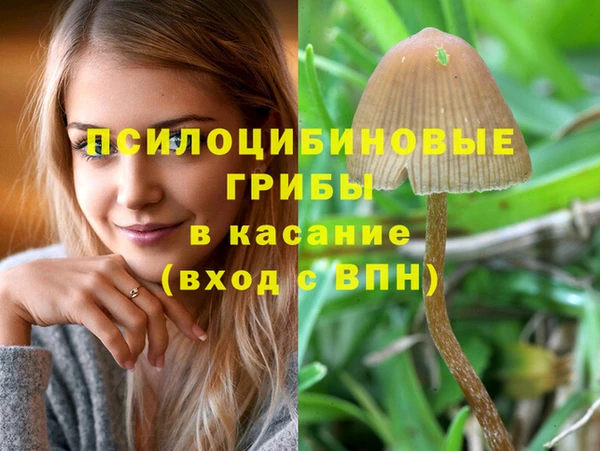 таблы Беломорск