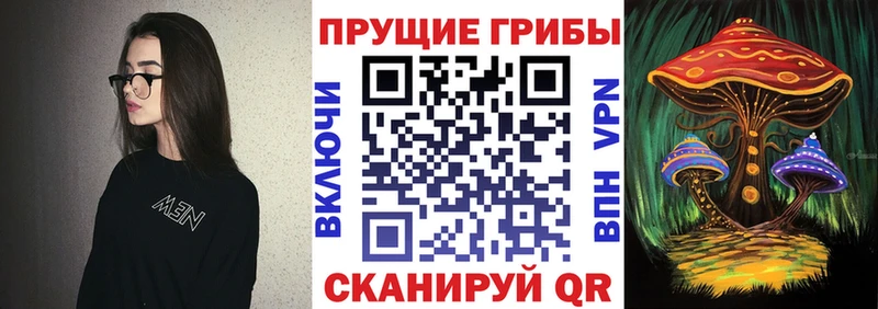 Галлюциногенные грибы Cubensis  хочу   Топки 